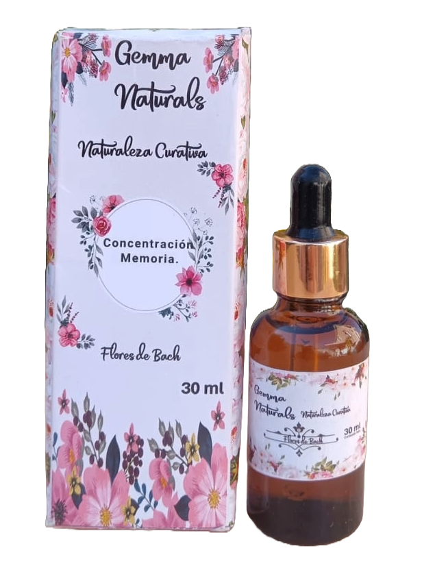 Concentración y Memoria